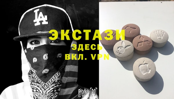 стаф Аркадак
