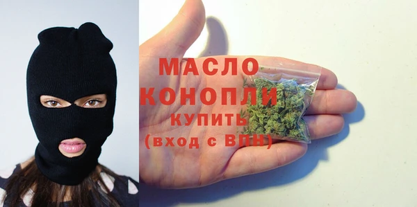 стаф Аркадак