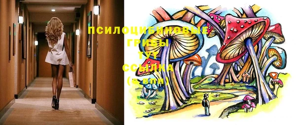 стаф Аркадак