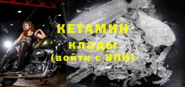 стаф Аркадак