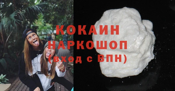 стаф Аркадак